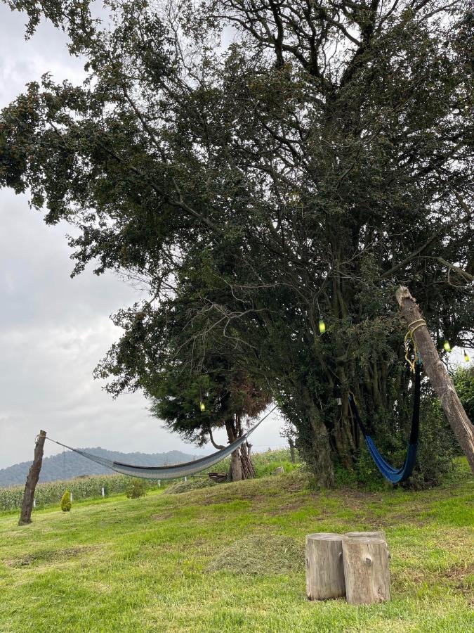 Floresta Casa De Campo Amecameca Dış mekan fotoğraf